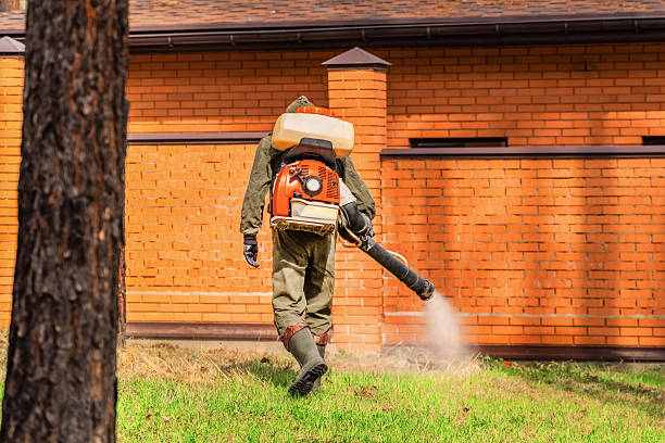 Bed Bug Clearance Verification and Documentation in Jamesport